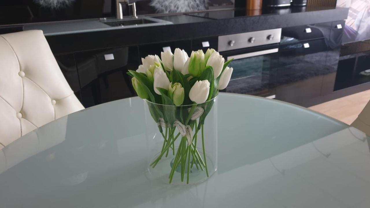 Kvetinovy Apartman A3B V Chomutove Ngoại thất bức ảnh